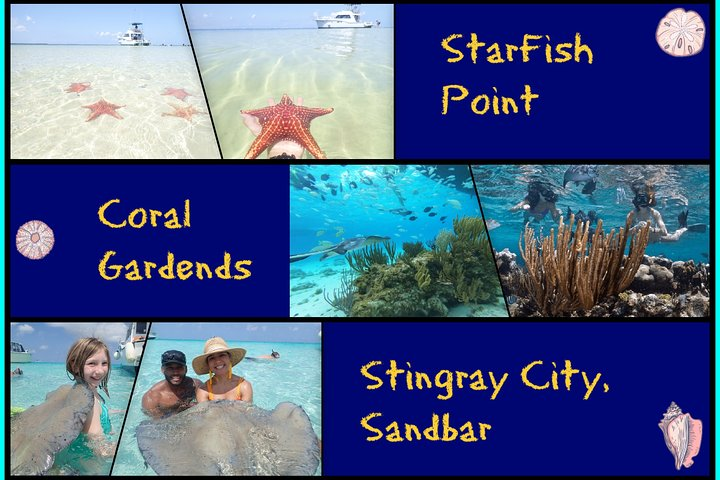 Starfish Point, Stingray City and Coral Garden (3-Stop Adventure) - Photo 1 of 25